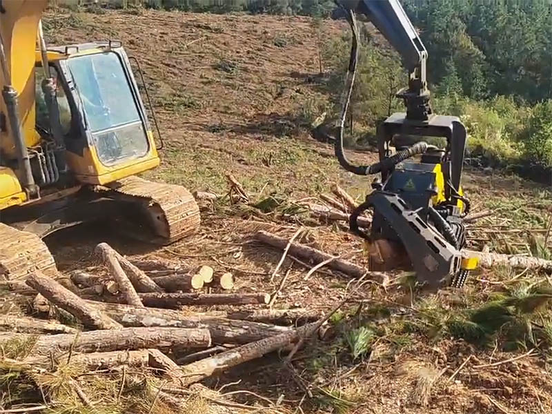 全自動伐木機(jī)在環(huán)保方面有哪些優(yōu)勢